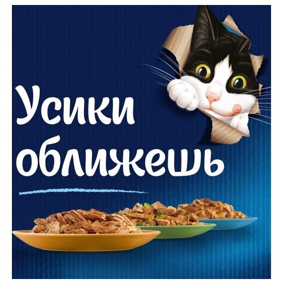 FELIX® Мясные Ломтики. Корм консервированный полнорационный для взрослых кошек, с говядиной, Пауч, 26х75г - фотография № 8