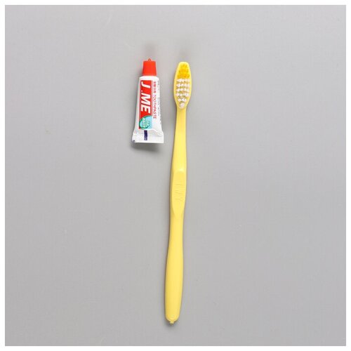 зубной набор зубная щетка 16 см зубная паста 3 г комплект из 100 шт Зубной набор: зубная щетка 16 см + зубная паста 3 г, 50 шт.