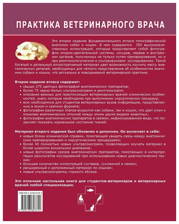 Топографическая анатомия собаки и кошки. С основами клинической анатомии - фото №2