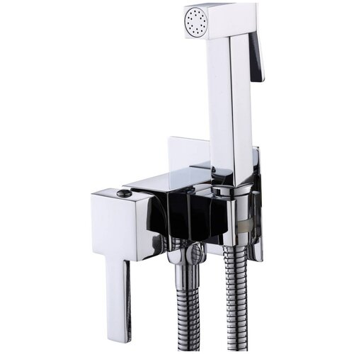 Встраиваемый смеситель для биде с гигиеническим душем, смеситель с гигиенической лейкой, однорычажный, Lemen, латунь, хром