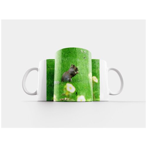 фото Кружка "белка, грызун, животное" 320 мл lotsprints