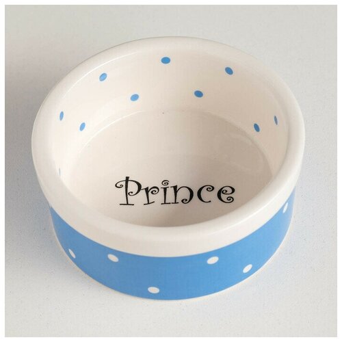 Пижон Миска керамическая Prince малая, 100 мл, голубая beeztees 801640 миска керамическая с изображением морской свинки голубая 160мл 10см