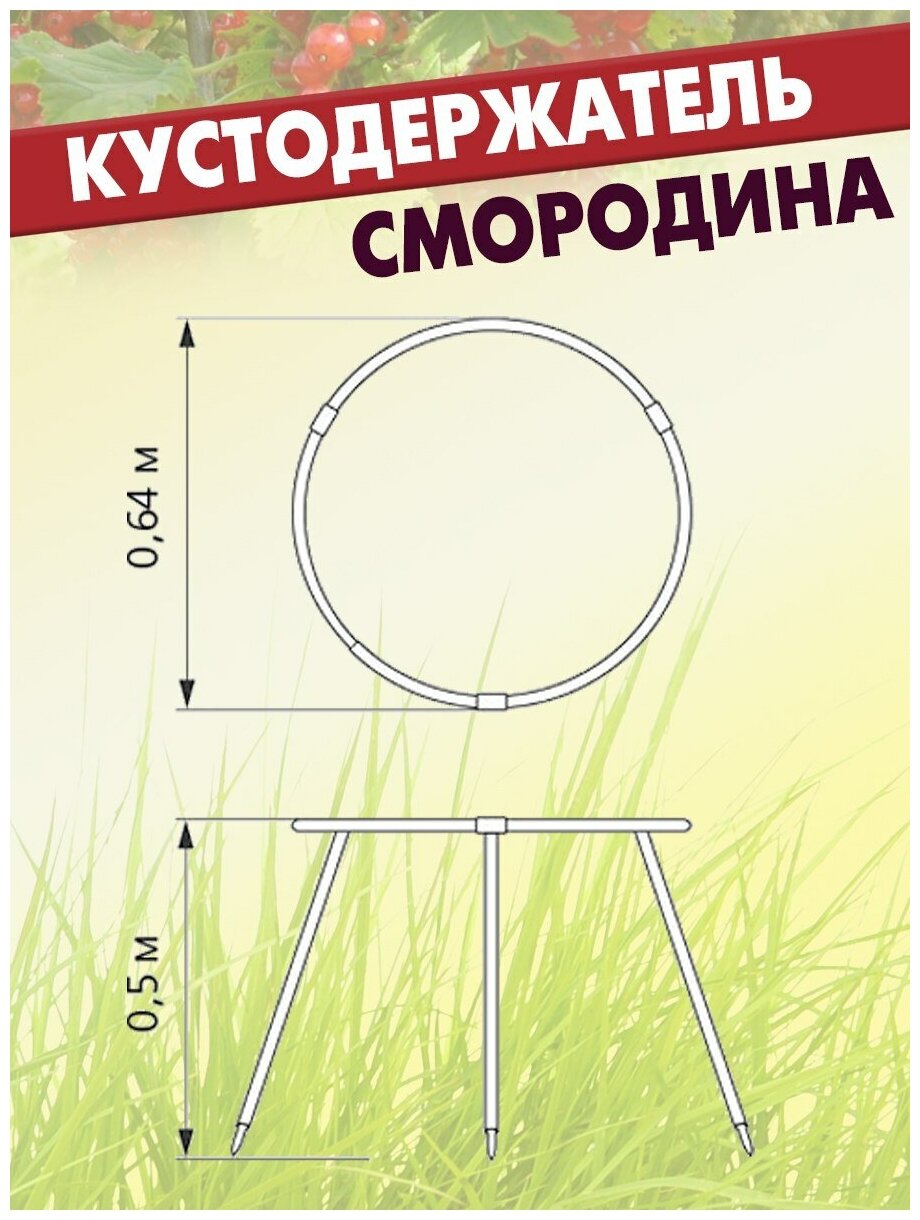 Кустодержатель садовый смородина Опора для растений - фотография № 5