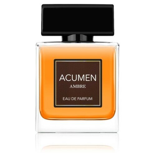 Парфюмерная вода мужская ACUMEN Ambre, 100 мл