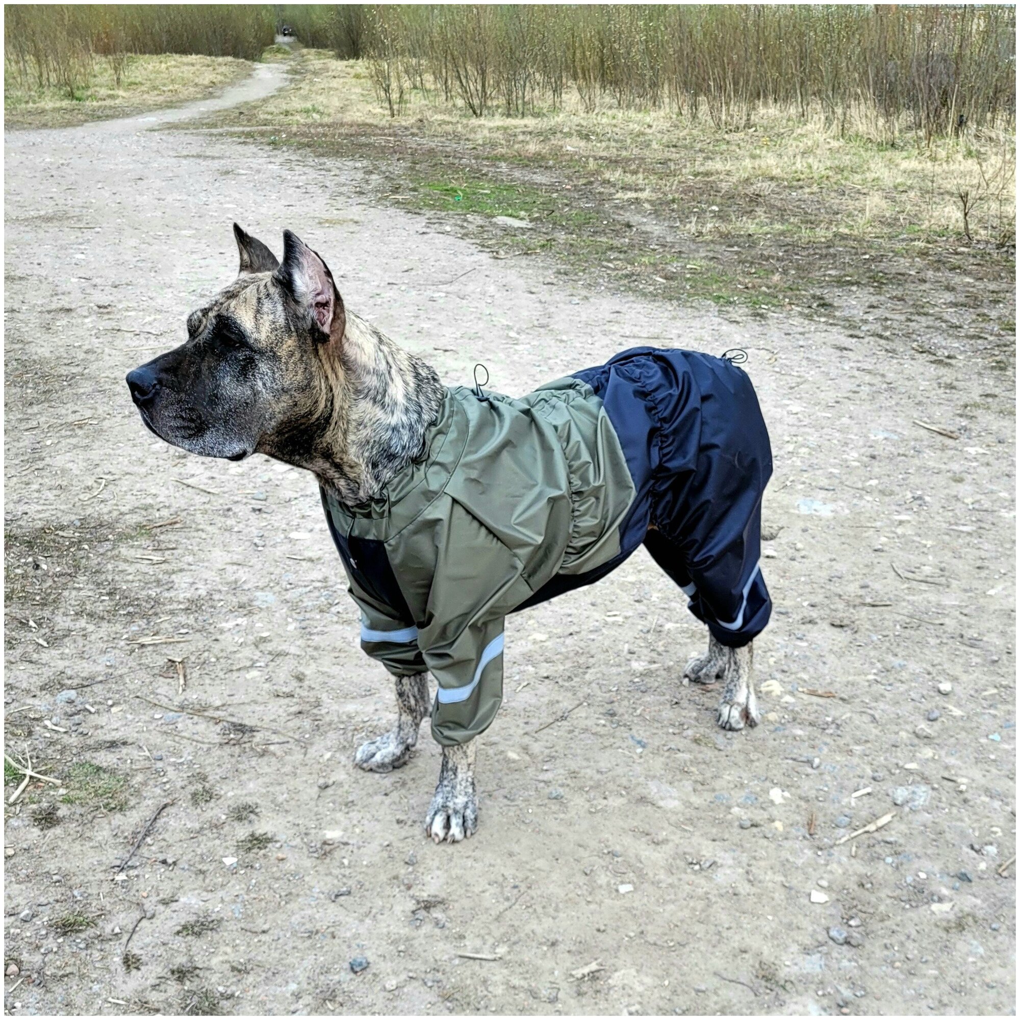 Комбинезон дождевик для собак крупных пород с регулировкой размера 70-80 см Хаки олива / черный