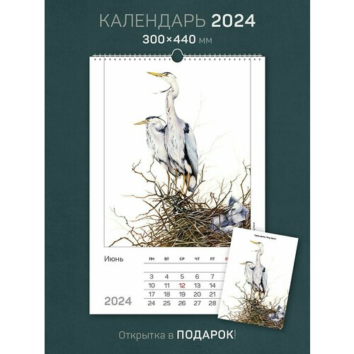 Календарь на 2024 год, настенный, перекидной 