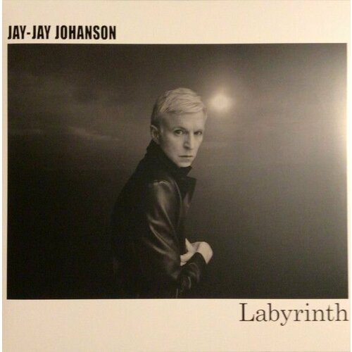 Виниловая пластинка Jay-Jay Johanson. Labyrinth (LP) moog theremini