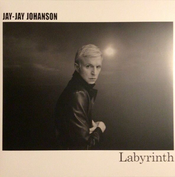 Виниловая пластинка Jay-Jay Johanson. Labyrinth (LP)