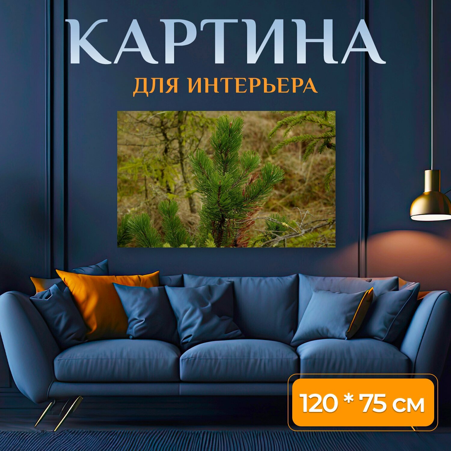 Картина на холсте "Трал, природа, горная сосна" на подрамнике 120х75 см. для интерьера