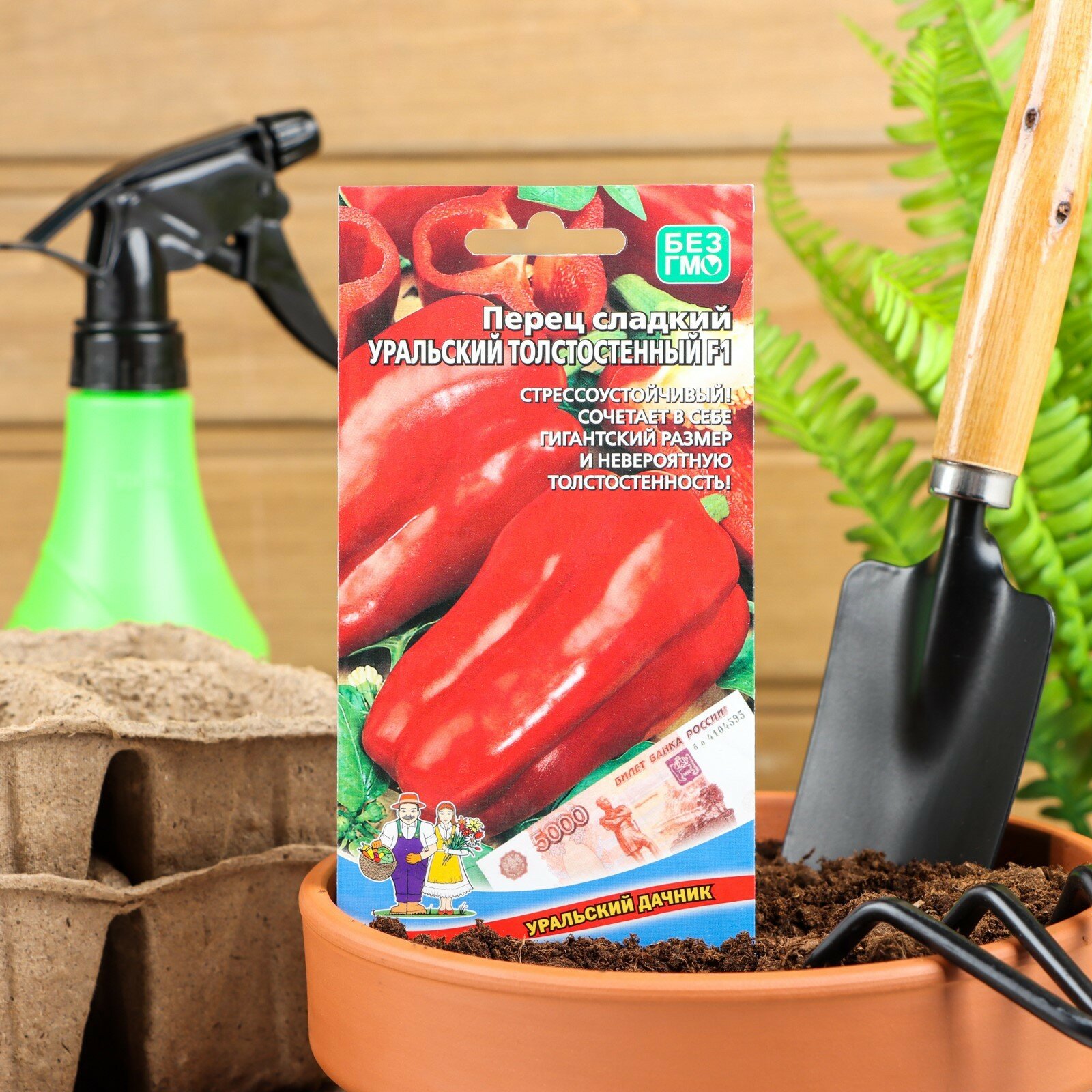 Семена перца 