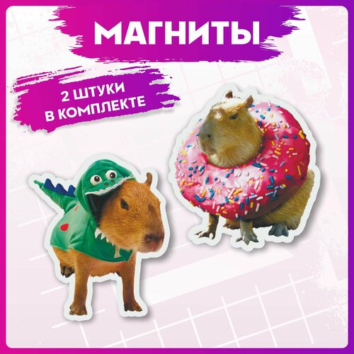 Магниты для доски Капибара 280₽