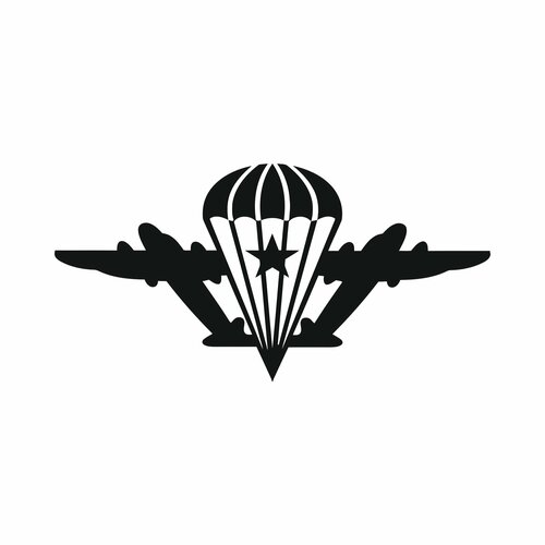 Наклейки виниловые на авто 20х10