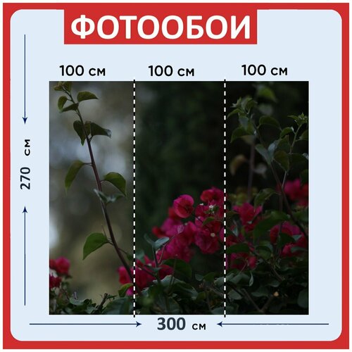Фотообои Цветы сад зеленый 300x270 см флизелиновыена стену 2960₽