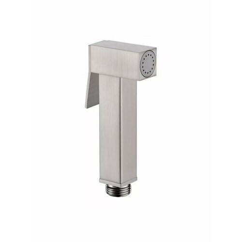 Лейка для гигиенического душа 2800₽