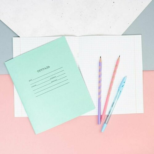 Тетрадь школьная 12 листов клетка 69₽