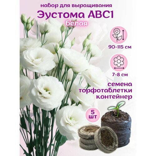 Семена Эустома белая + торфяные таблетки, 5шт, набор для выращивания