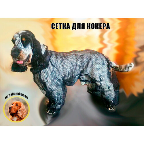 Комбинезон-сетка для английского кокер-спаниеля суки, цвет черный