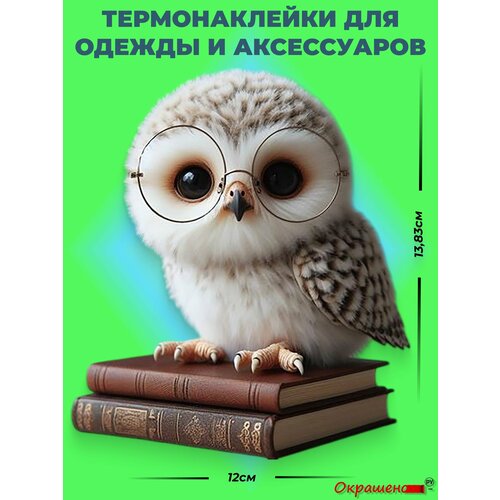 фото Термонаклейка / термотрансфер для декора одежды и аксессуаров "совенок с книгами" окрашенору