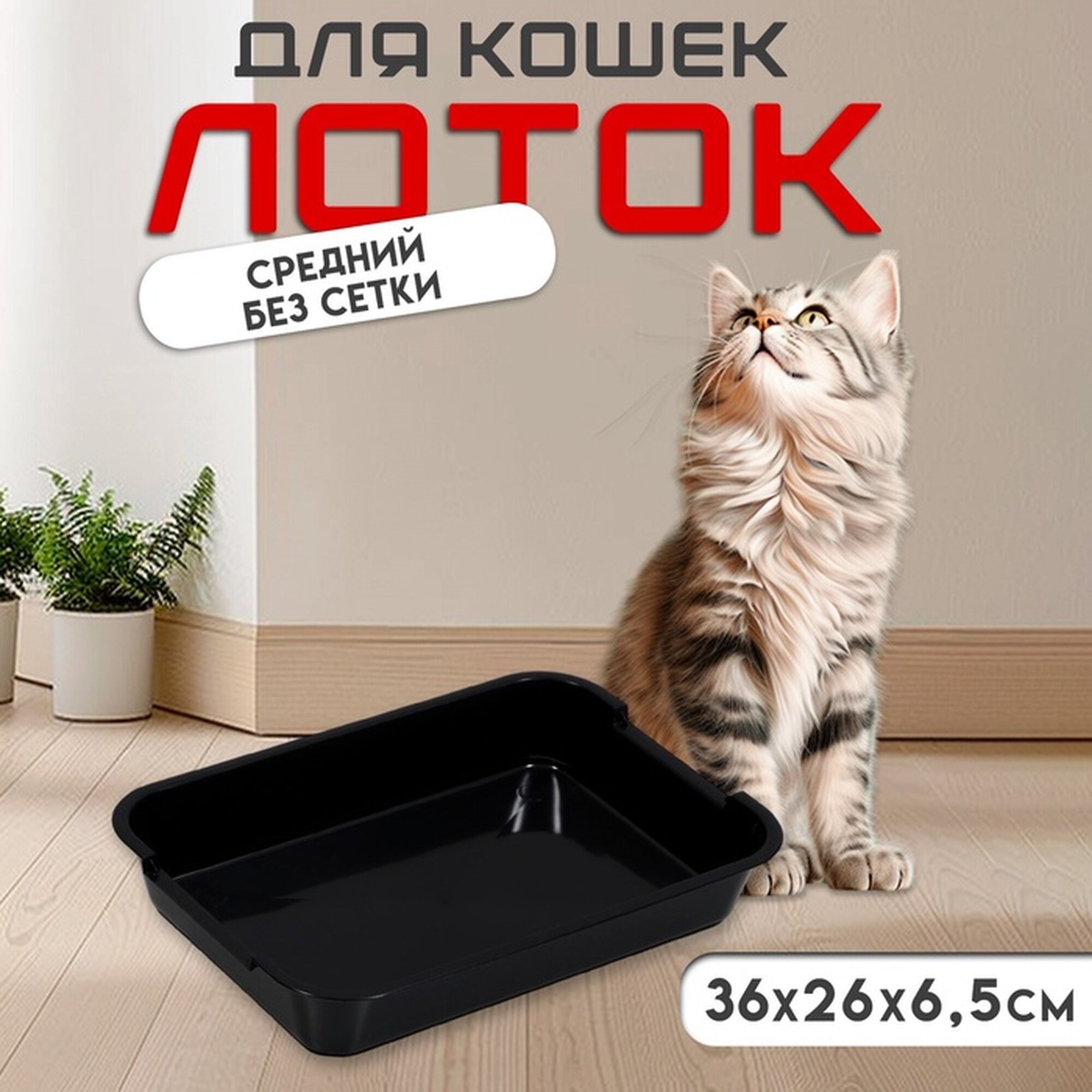 Туалет для котят Сима-ленд пластик черный 36 x 26 x 65 см