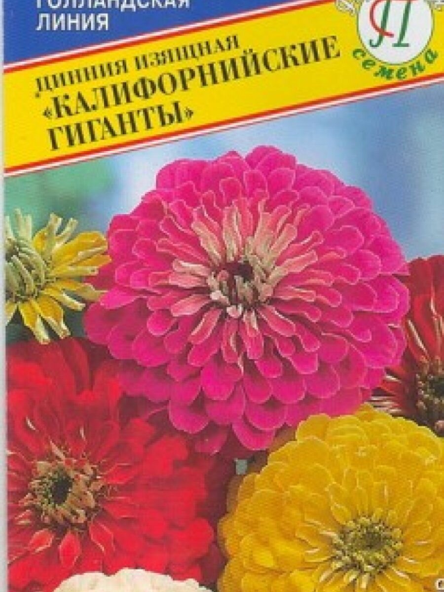 Семена Цинния изящная 