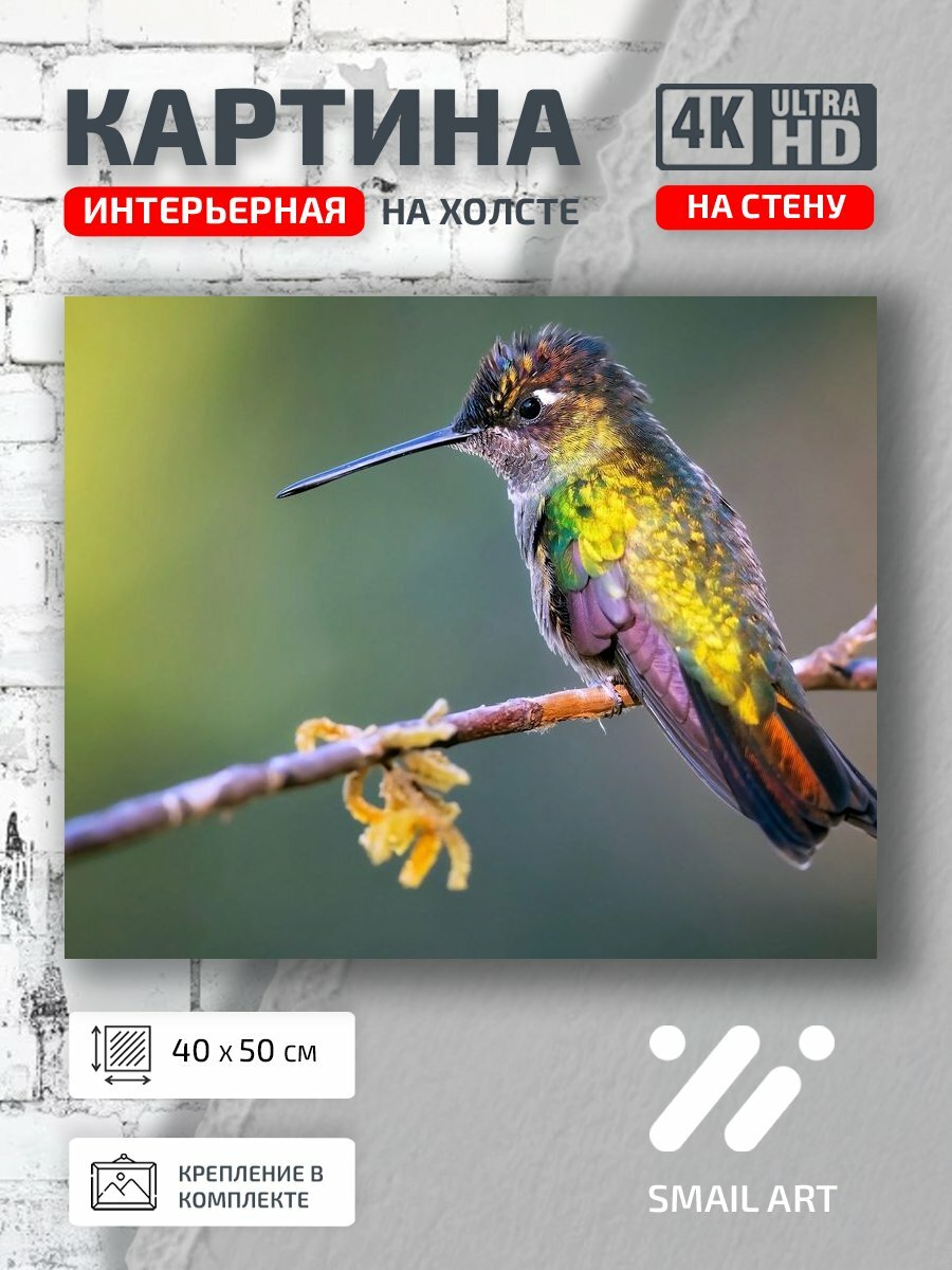 Картина на холсте интерьерная 40 на 50 на стену План Animal для гостиной animal style декор