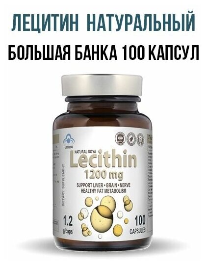 Лецитин натуральный бад и витамины для иммунитета и общего укрепления организма лучшие витамины для иммунитета 100 шт.
