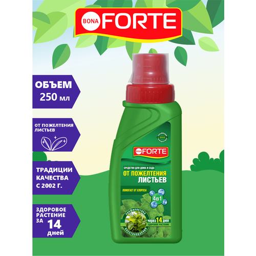 Средство Bona Forte 4 в 1, от пожелтения листьев, флакон, 285 мл 9536236 bona forte средство 4 в 1 от пожелтения листьев 285 мл х 2 шт