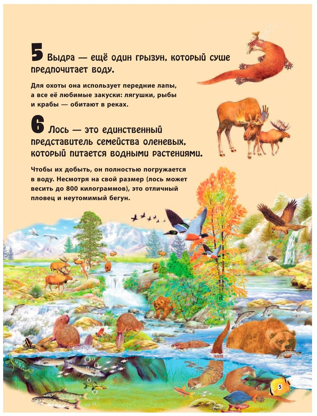 Животные морей и рек (Домингес Нико) - фото №7