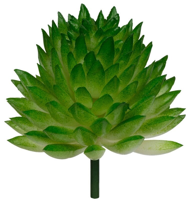 Искусственное растение "Blumentag" ASU-05 Декоративные элементы "суккулент" 4.5 x 4.5 см 1 шт. 01