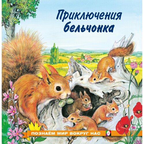 «Приключения бельчонка», Гурина И. В. приключения совы и её друзей гурина и в