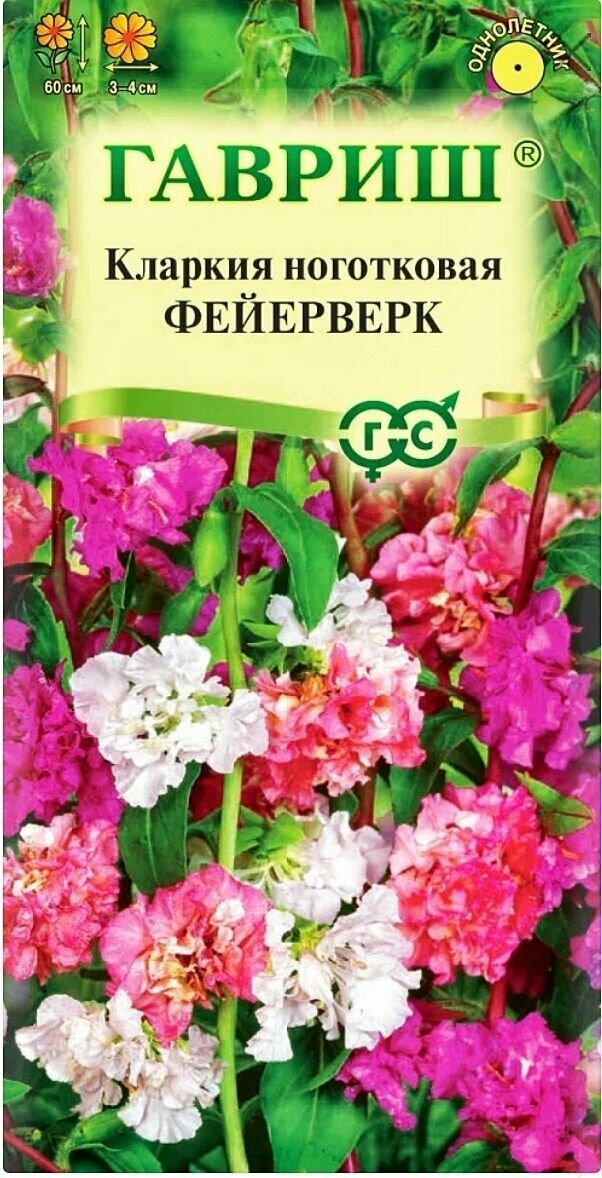 Кларкия Фейерверк (смесь) 1 пакет семена 005 гр Гавриш