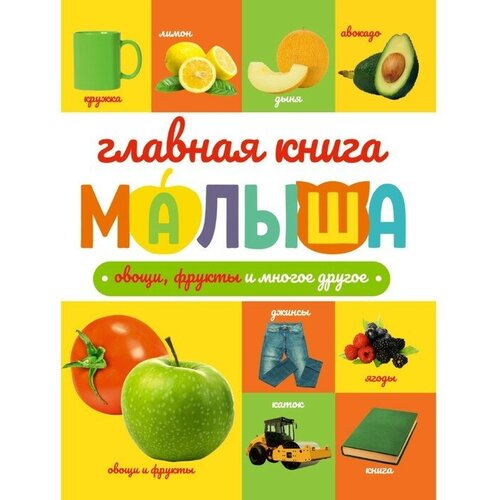 главная книга малыша учимся говорить 96 страниц Главная книга малыша «Овощи, фрукты и многое другое», 96 страниц