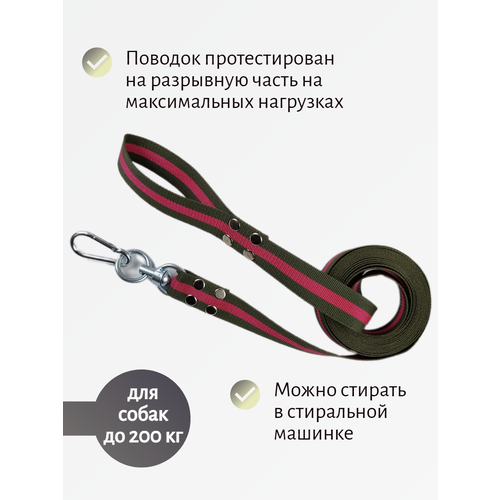 Поводок Хвостатыч для собак крупных пород с вертлюгом и альпинистским карабином нейлон 7 м х 35 мм (Зелено-красный)