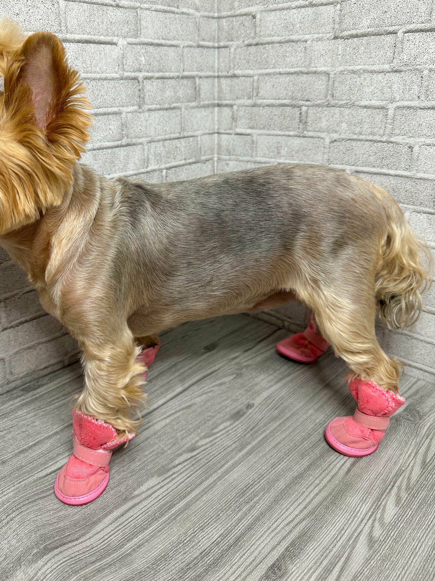 Зимняя обувь для собак на меху для малых и средних пород / Розовые / Размер 3 - фотография № 4