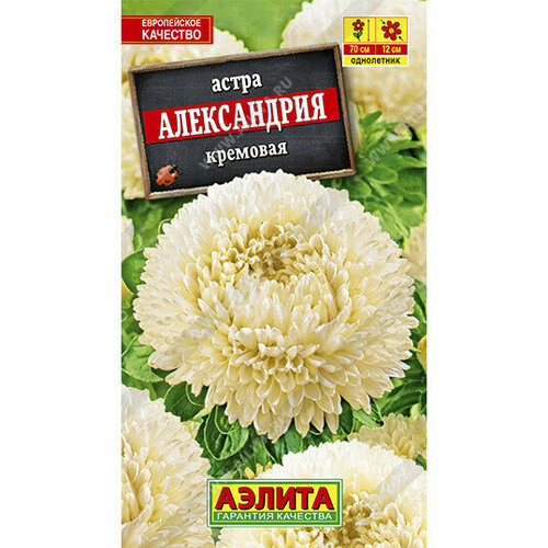 Семена Астра Александрия кремовая 0,1 г (Аэлита)