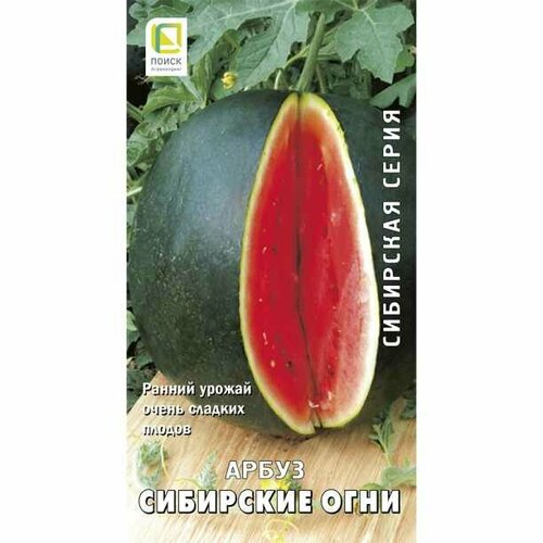 Арбуз Сибирские Огни 1 г Поиск семена арбуз сибирские огни поиск