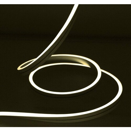 Rich Led Светодиодный Гибкий Неон RL-FX816-120-220V-W/WW