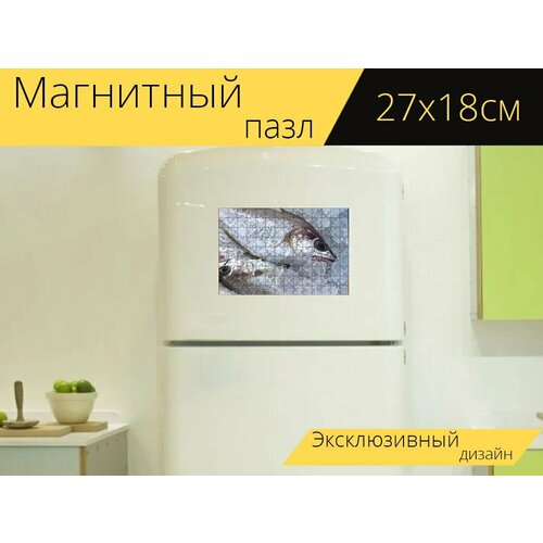 Магнитный пазл Свежая рыба, рыба, питание на холодильник 27 x 18 см. магнитный пазл рыбы свежая рыба рыбный рынок на холодильник 27 x 18 см