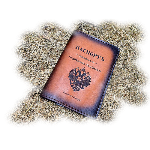 Обложка для паспорта VPS 