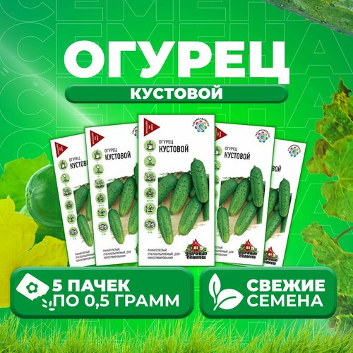 Огурец Кустовой, 0,5г, Удачные семена (5 уп)