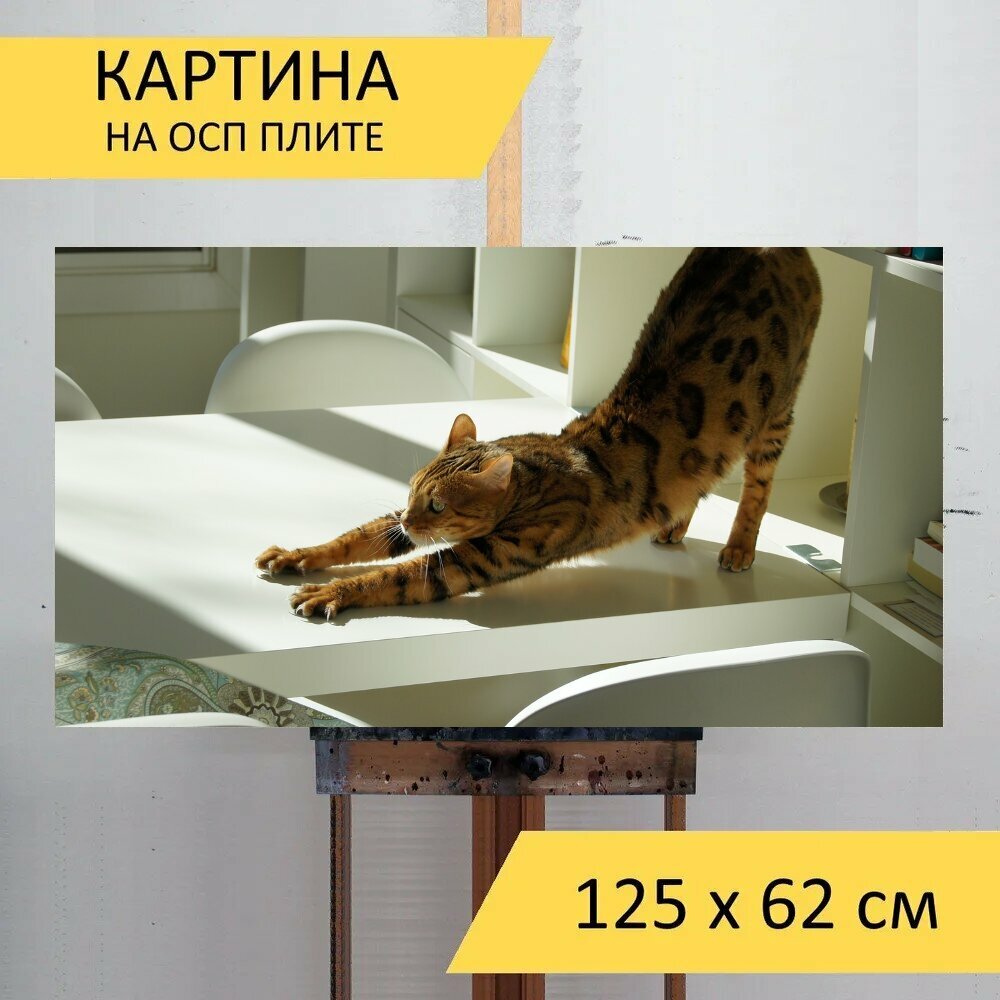 Картина на ОСП 125х62 см. "Кошка, растяжение, домашний питомец" горизонтальная, для интерьера, с креплениями