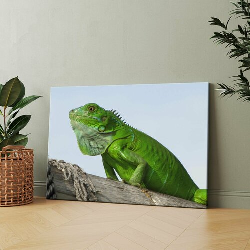 Картина на холсте (Зеленая ящерица на деревянном заборе) 20x30 см. Интерьерная, на стену.