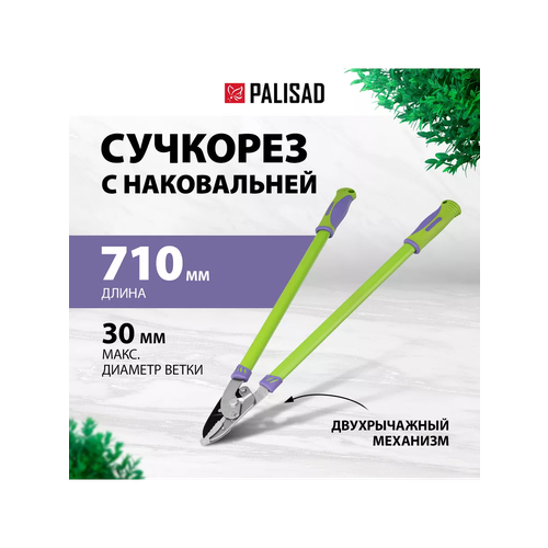 фиолетовый, зеленый, зелeный