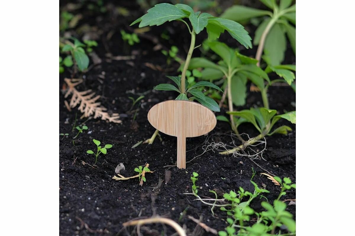 Мультидом Набор садовых табличек VL83-33, 8 шт, натуральный — фото 1