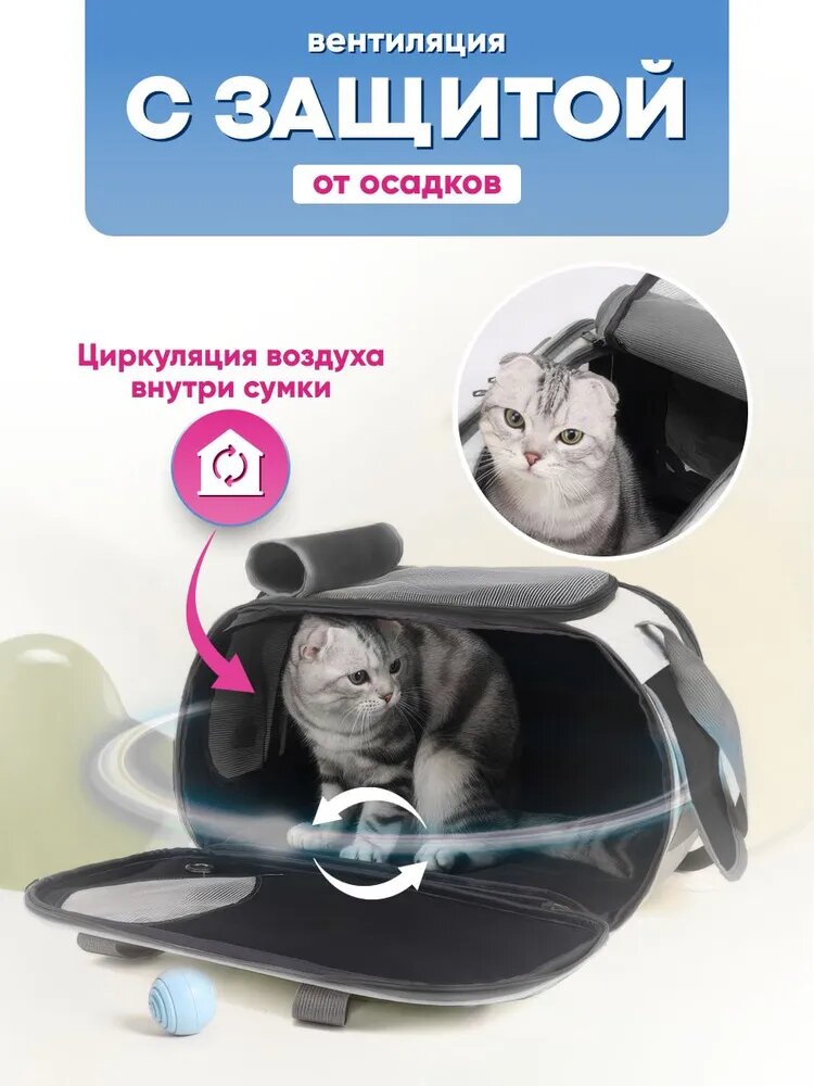 Переноска для кошек и собак мелких пород, сумка для животных — фото 1