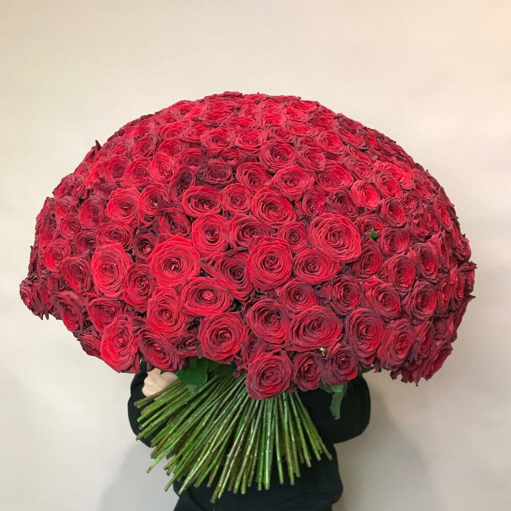 Букет из 301 красной розы PROTEA-Студия Цветов "Роза 301"  XXXL
