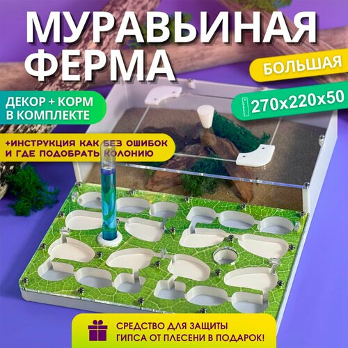 Большая муравьиная ферма AntBerry. Полный комплект. Формикарий для муравьев