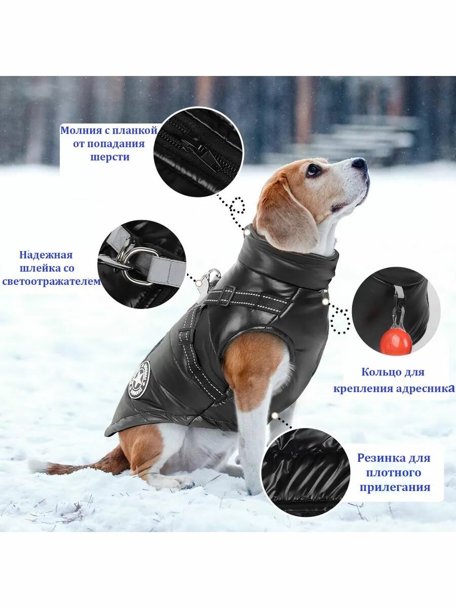 Одежда для животных — фото 1
