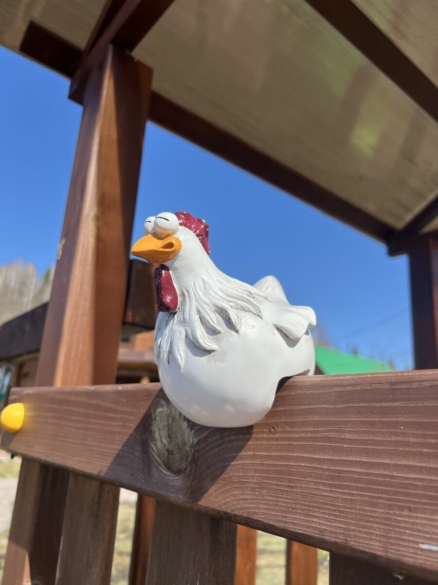 Курица на забор - фотография № 13