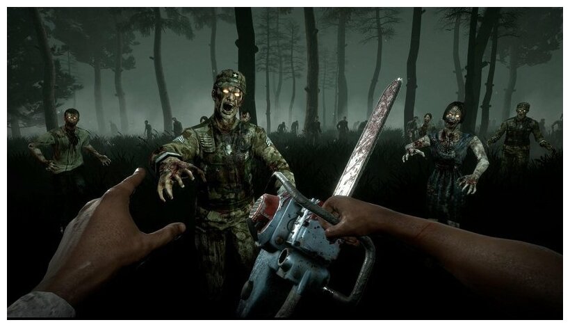 Игра для Nintendo Switch Into the Dead 2